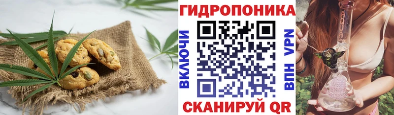 кракен зеркало  Заинск  Печенье с ТГК конопля  как найти  