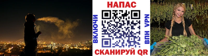 гидра онион  Заинск  Бошки марихуана марихуана 